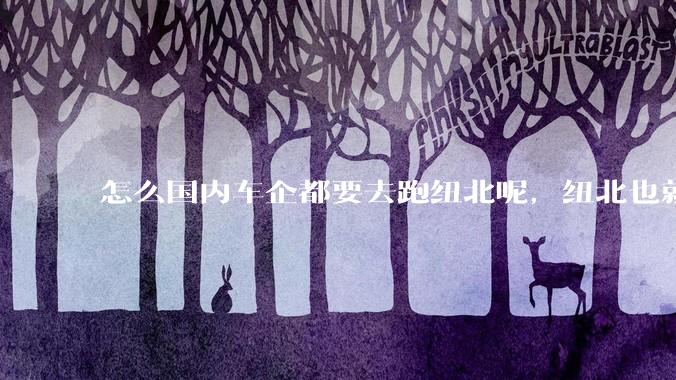 怎么国内车企都要去跑纽北呢，纽北也就是个普通赛道?