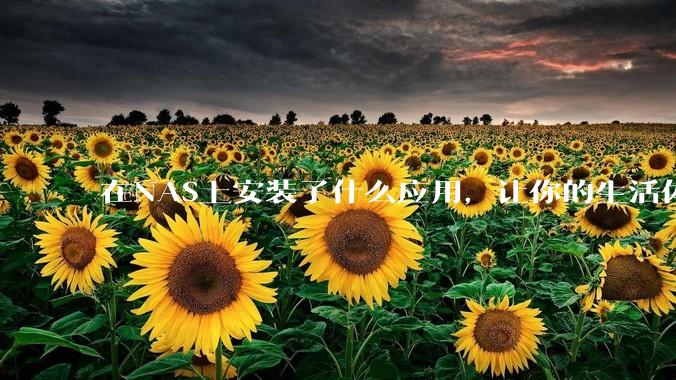 在NAS上安装了什么应用，让你的生活体验有了巨大的提升？