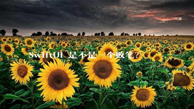 SwiftUI 是不是一个败笔？