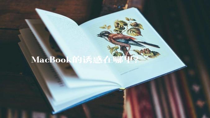 MacBook的诱惑在哪里？